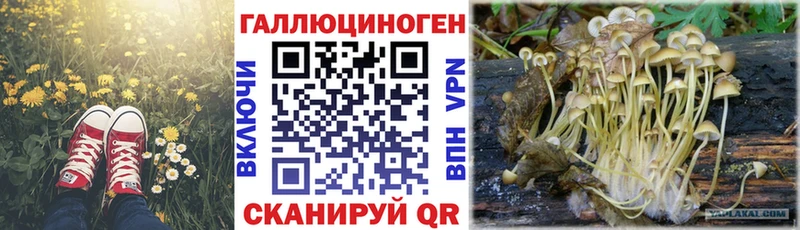 Купить закладки  Дербент  Галлюциногенные грибы ЛСД 